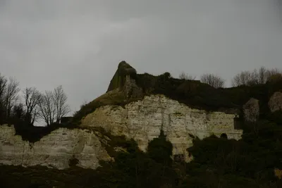 DSC_1287 (Large).JPG